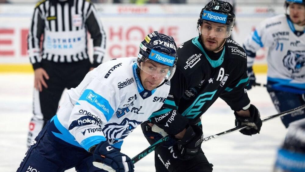 Foto: www.hcbilitygri.cz